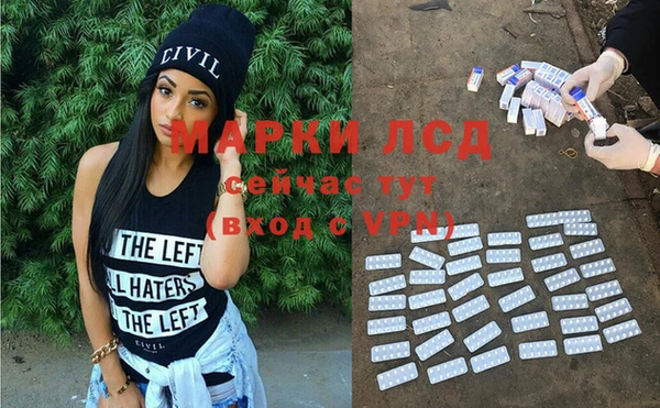 apvp Алексин