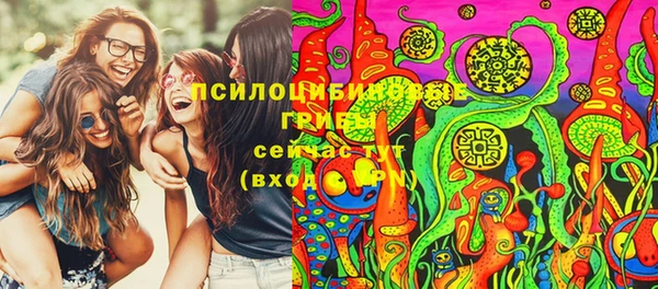 тгк Алексеевка