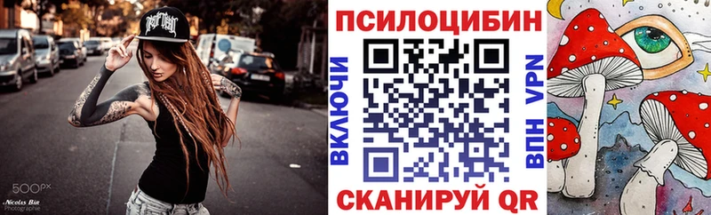 Псилоцибиновые грибы мицелий  OMG маркетплейс  Долинск  купить наркотик 